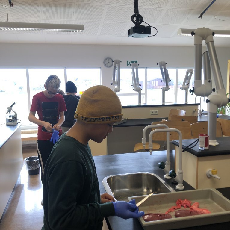 image-20230510-111046-87863ac5