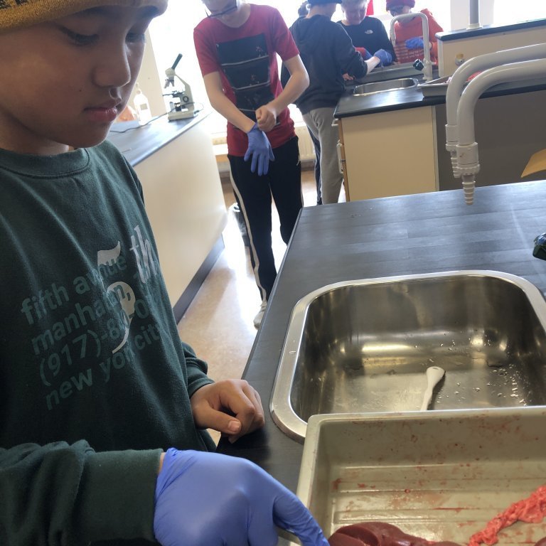 image-20230510-111050-3aa8a729