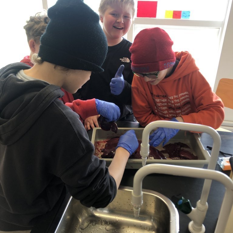 image-20230510-111105-abc2cf3a