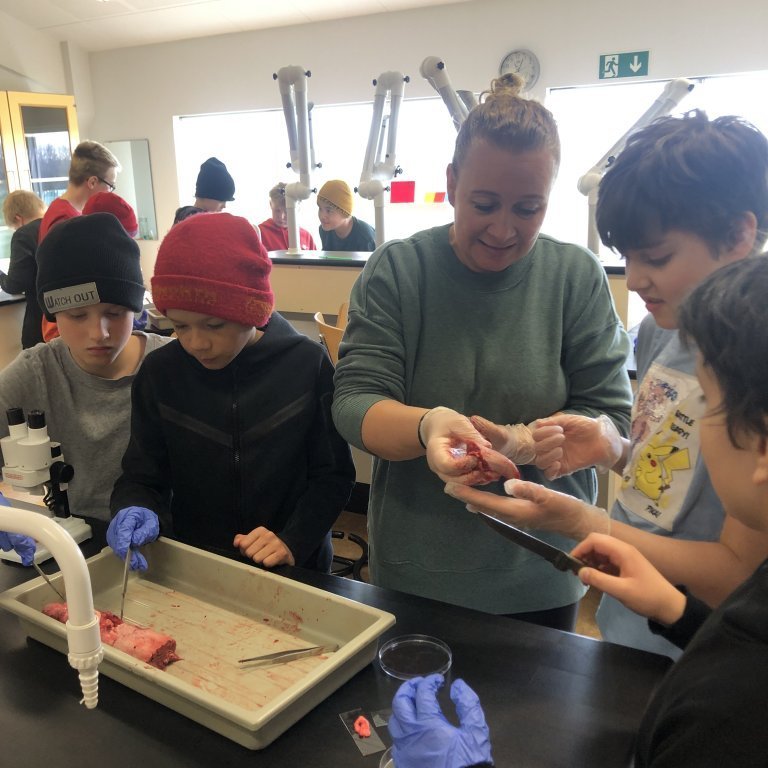 image-20230510-111146-2515cd51