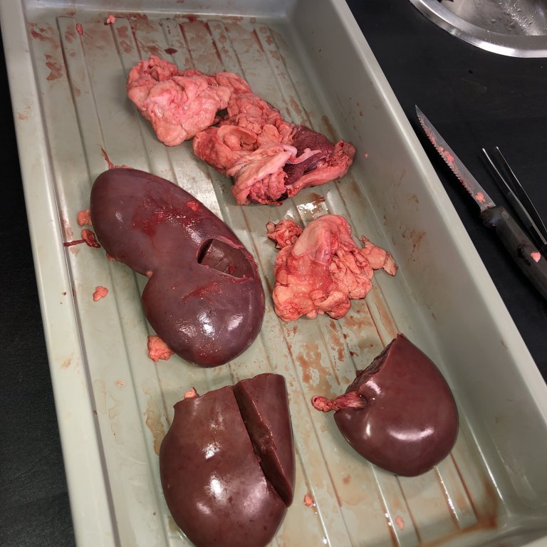 image-20230510-131447-c54d2e34