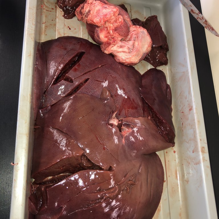 image-20230510-131454-1cfd02d6