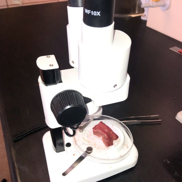 image-20230510-131458-b0440638