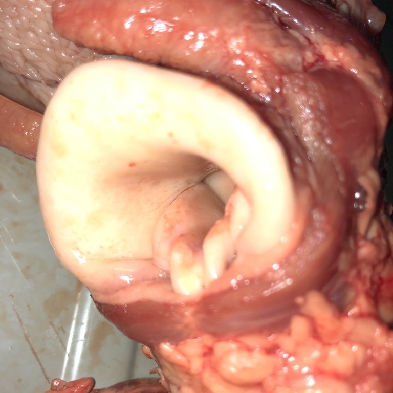 image-20230510-131512-6971f9db