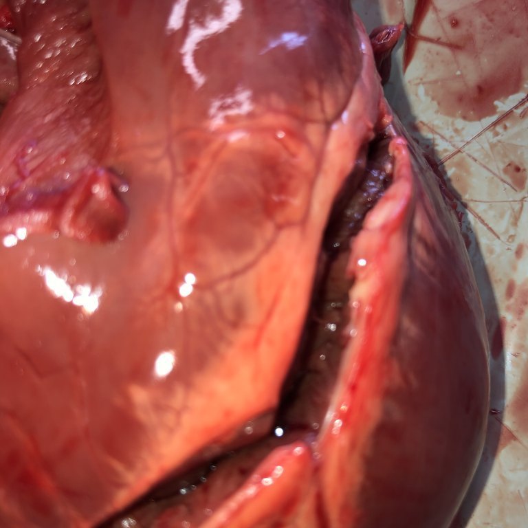 image-20230510-131517-93a351a8