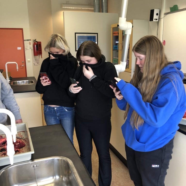 image-20230510-134553-72096a68