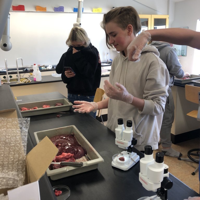 image-20230510-134610-71e593e0