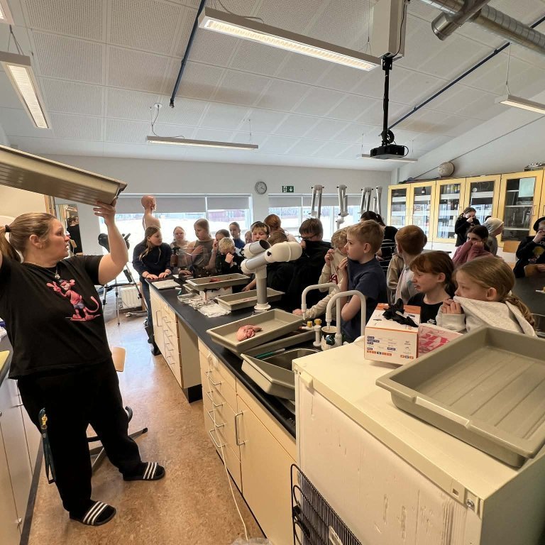 8097d90a-47b2-403f-99b4-6be887071067