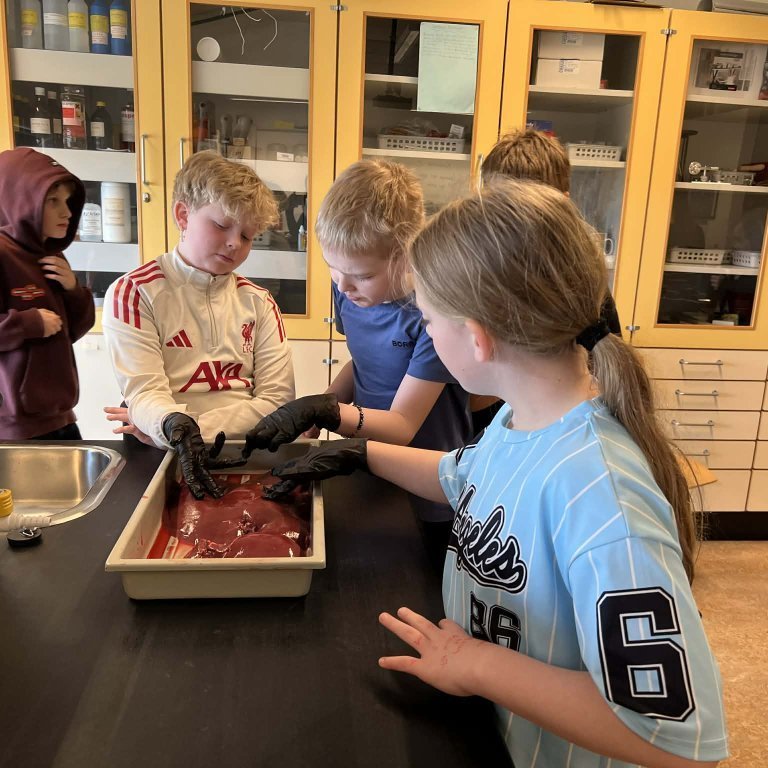 b0265e02-c1b2-42d5-a1df-b3c9b53e0cbc