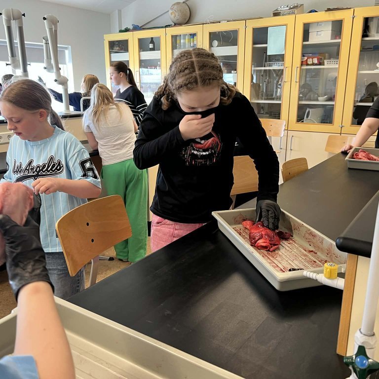 bb7cb5e1-651c-464a-8847-8888cc8b14d3