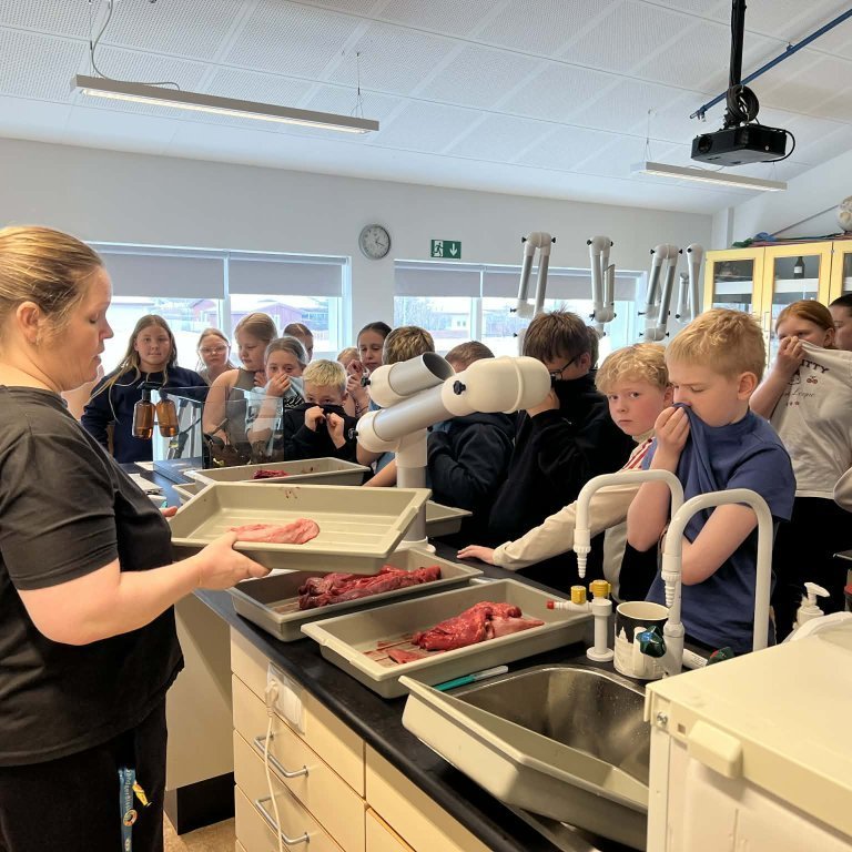 c45f0480-fe0b-4444-ace2-f30e4ad33831