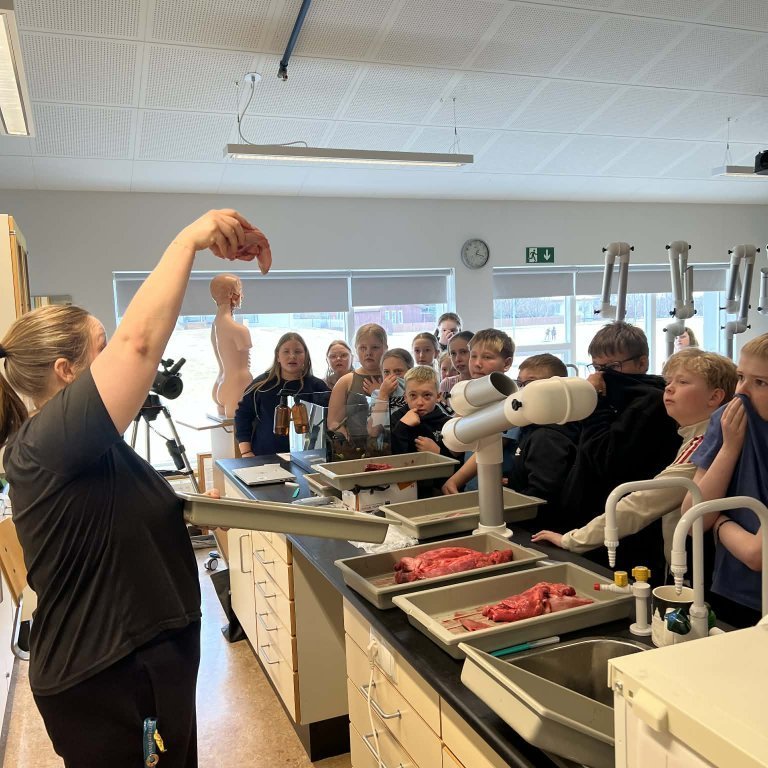 c9f0005f-43a4-496a-968d-da34e698f941