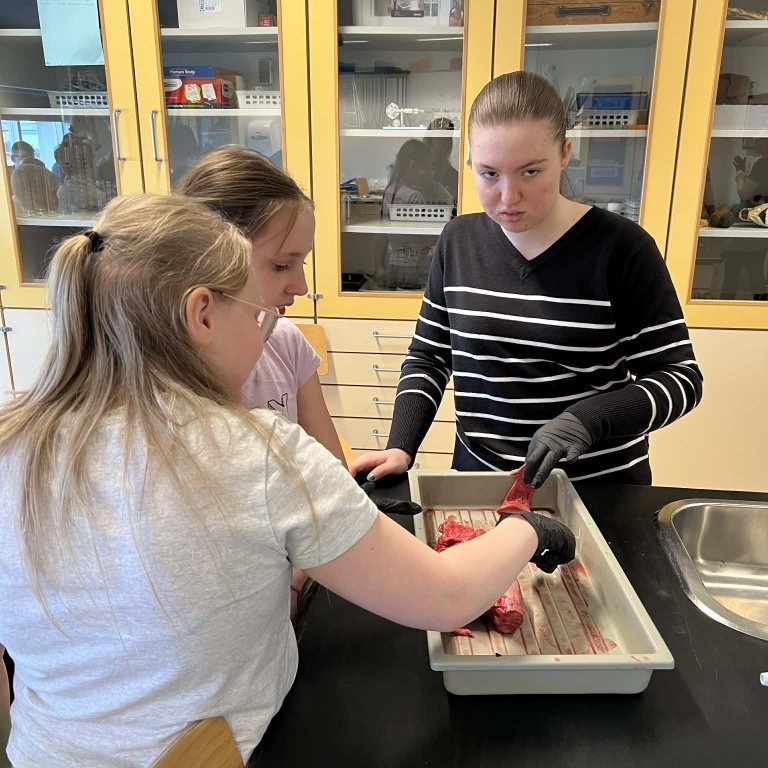 d8a1071e-302e-4864-b616-c397f4ea7f54