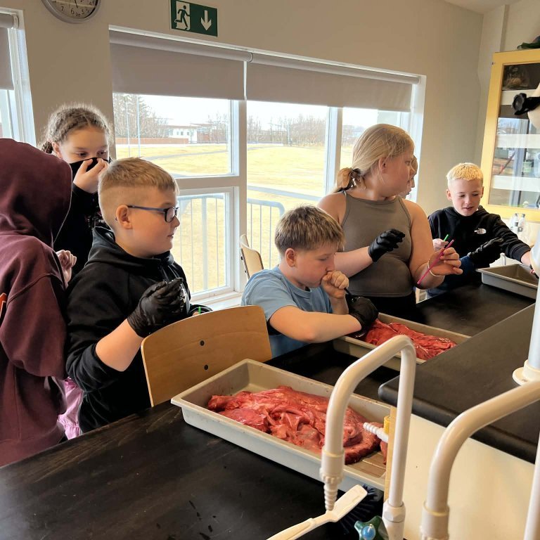 e0f163eb-6c24-47a3-b146-432955f3f621