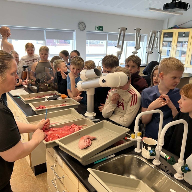 ef09a5ab-7154-4717-b36d-e925cbe92bcd