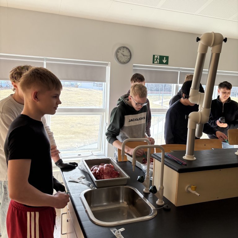 image-20260408-101715-ca718713