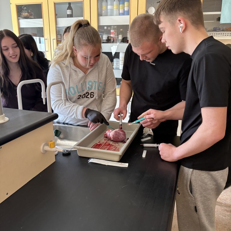 image-20260408-101721-93c3c2e8