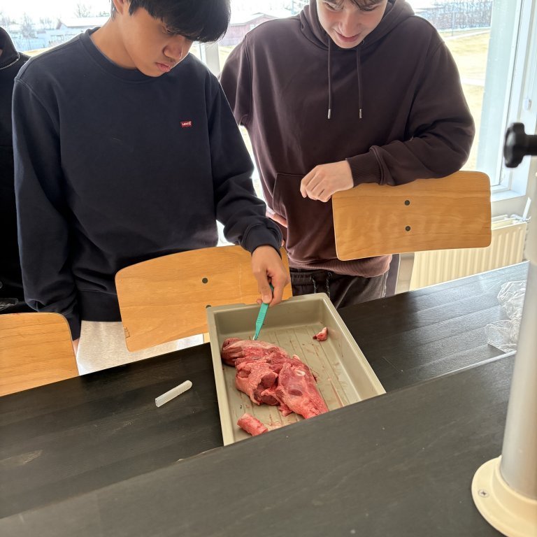 image-20260408-101728-e79a6ab4