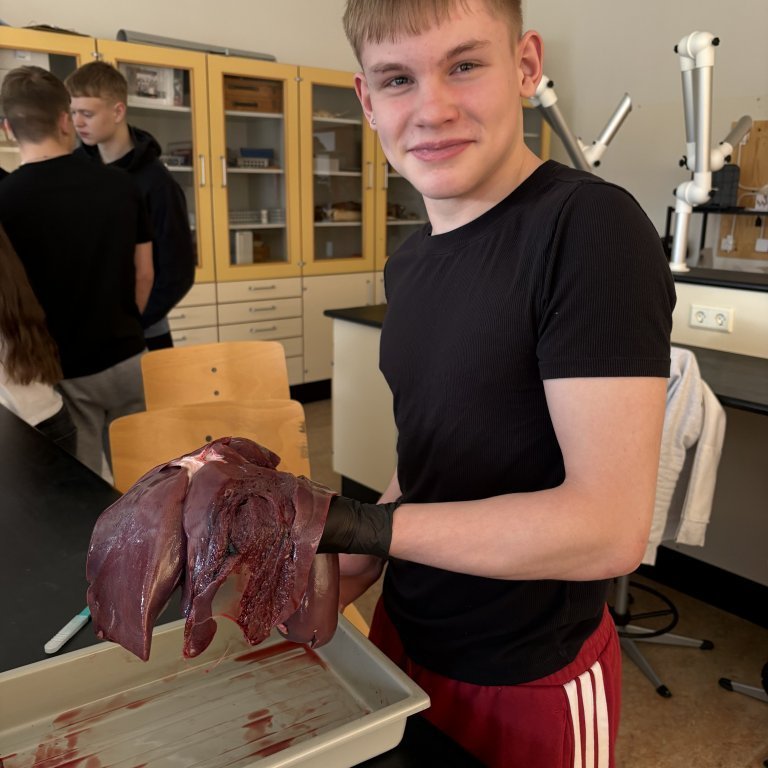 image-20260408-101749-7242fbc8