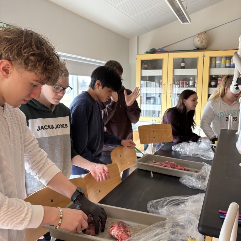 image-20260408-101803-b454879c