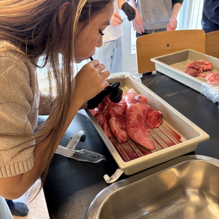 image-20260408-101845-6290da24