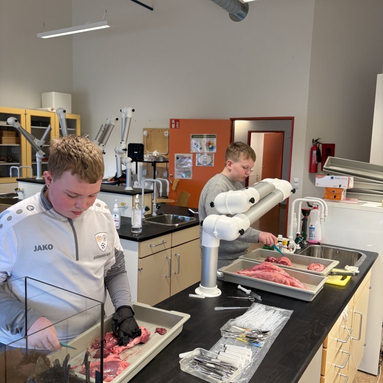 image-20260408-110227-2660fe7a