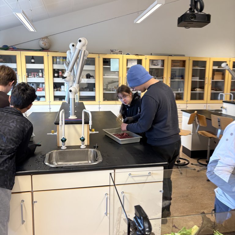 image-20260408-110230-76c275db