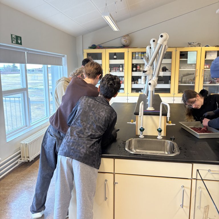 image-20260408-110232-6f4406d4