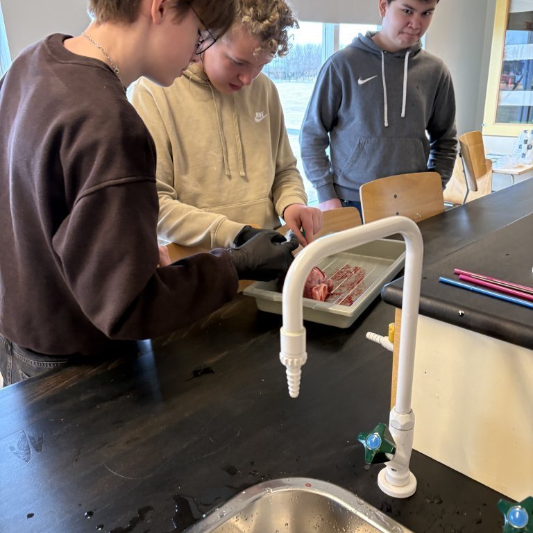 image-20260408-110239-9ff58d95