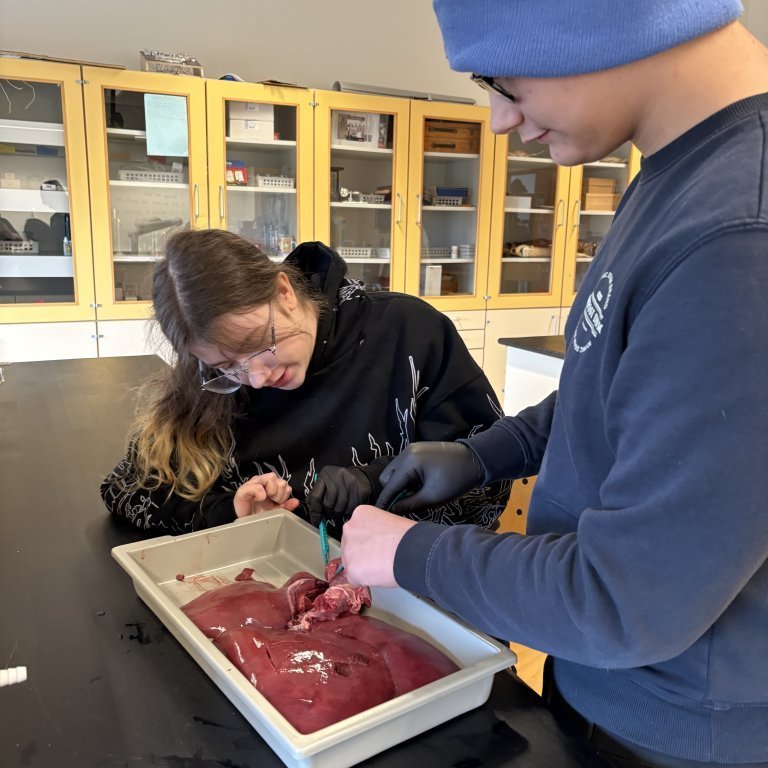 image-20260408-110243-effce5b6