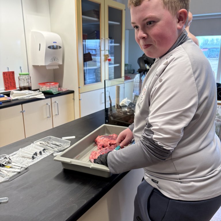 image-20260408-110256-12c1692e