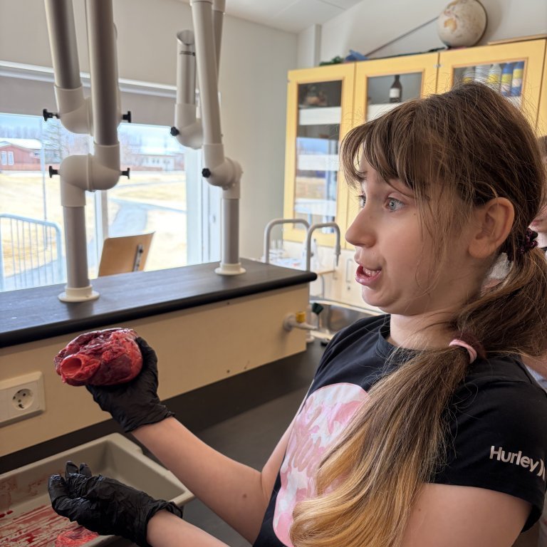 image-20260408-125022-8eaf8ea3