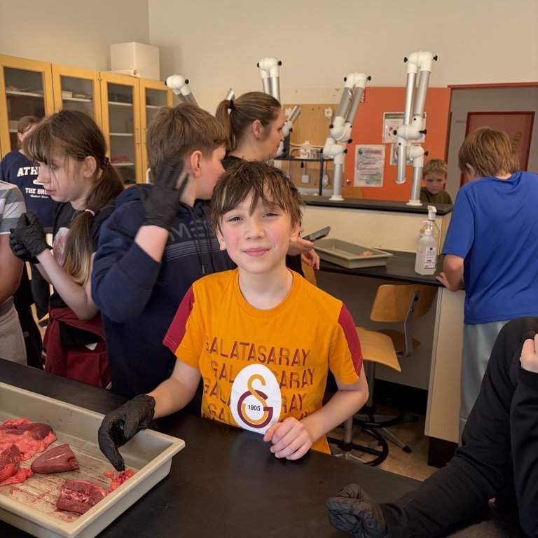 image-20260408-125030-e4997ab4