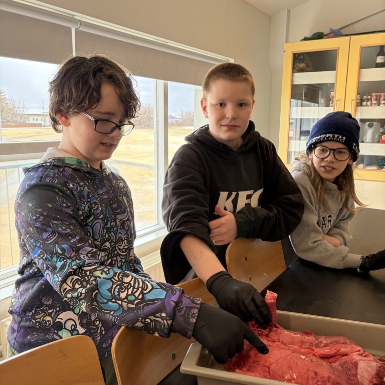 image-20260408-125041-3fc9d842