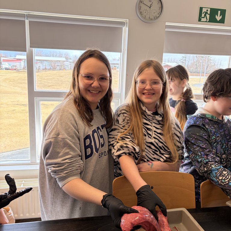 image-20260408-125048-f001bfd8