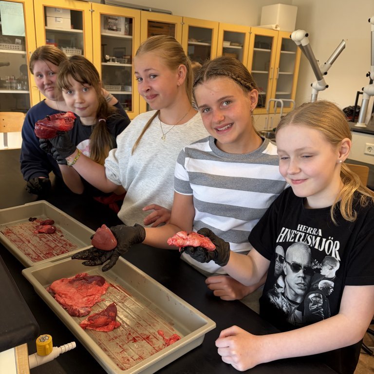 image-20260408-125123-8b2fe32a