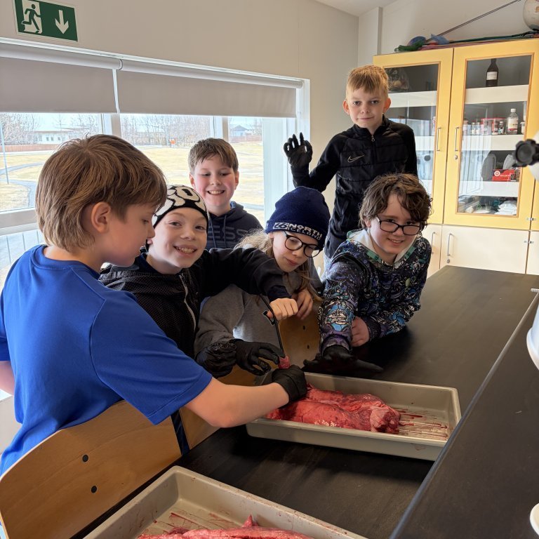 image-20260408-125131-efc7a56d