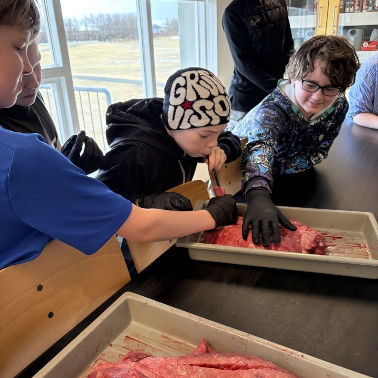 image-20260408-125153-24590848