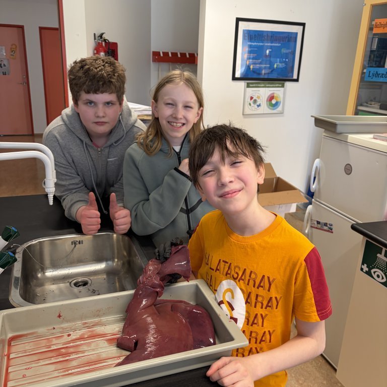 image-20260408-125153-fa35725d