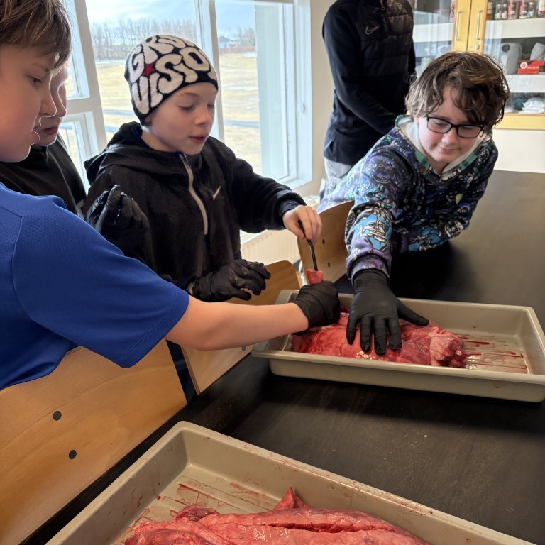 image-20260408-125155-0e3b5210