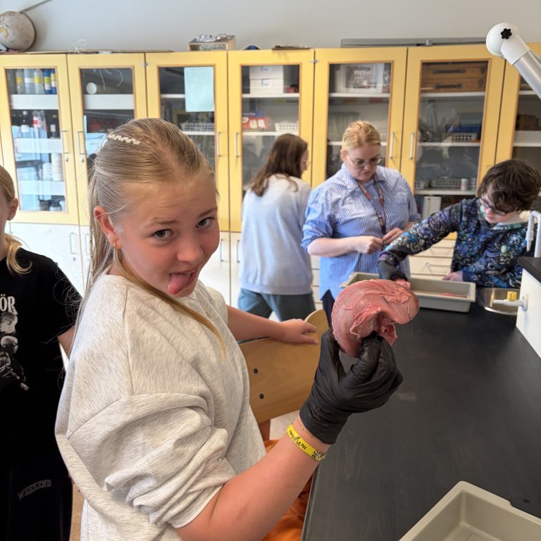 image-20260408-125220-57511f81