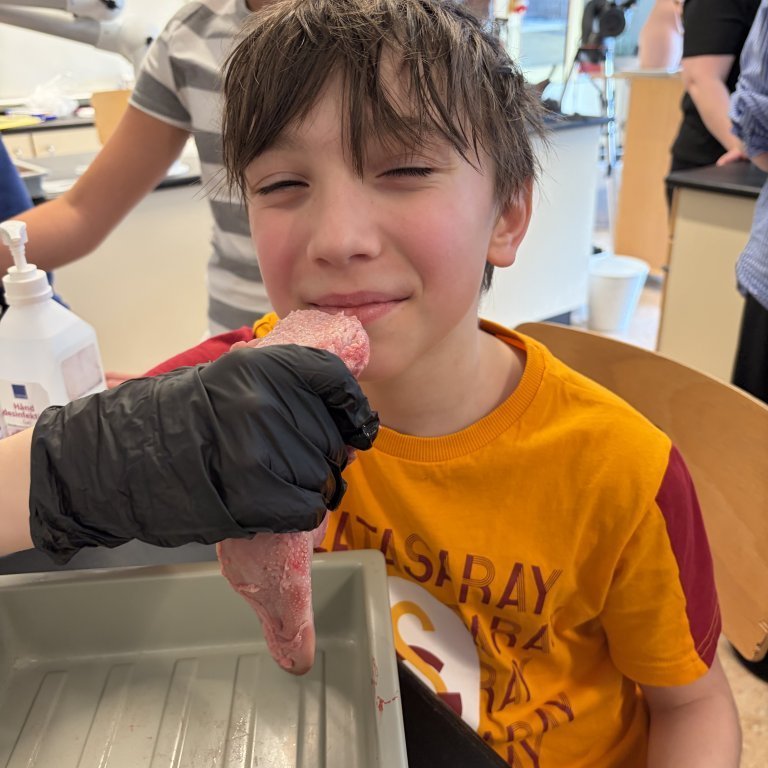 image-20260408-125252-fb3260c9