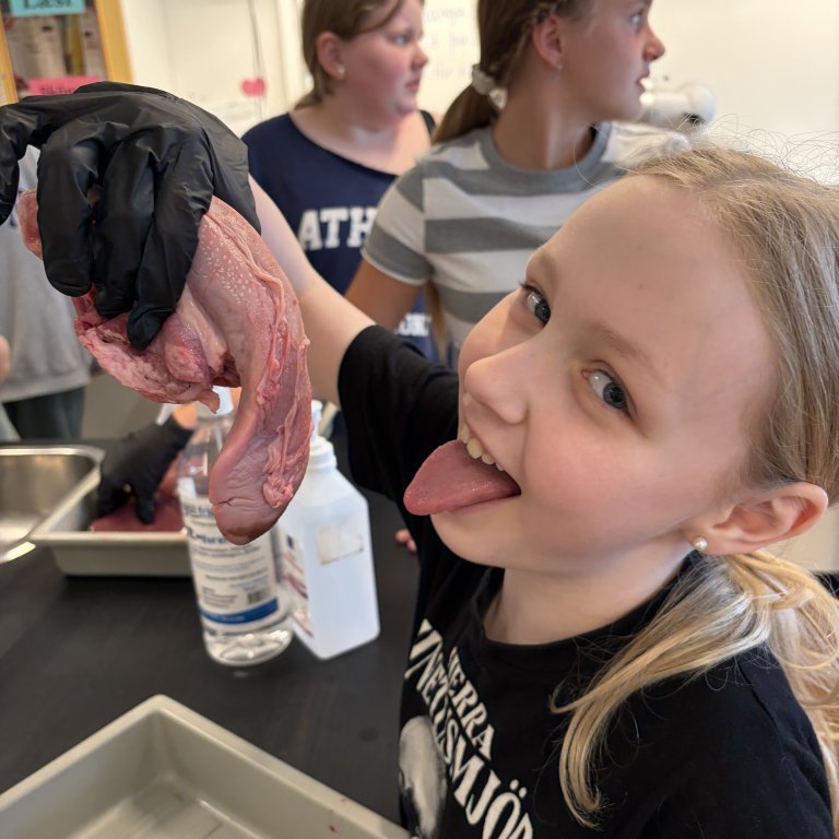 image-20260408-125300-b15fdb6e