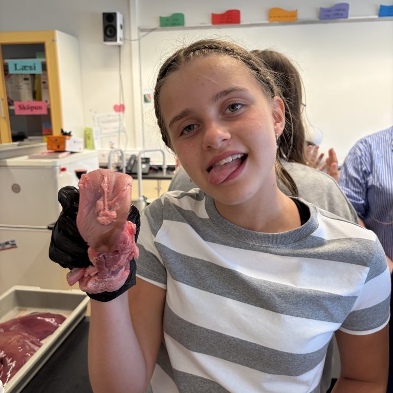 image-20260408-125315-8ea0167d