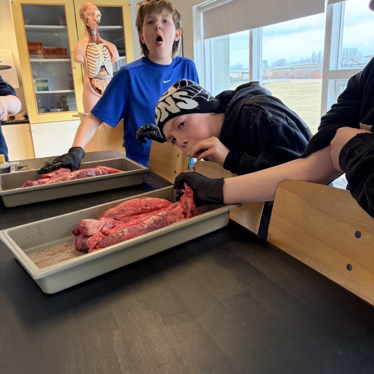 image-20260408-125351-ca17de12