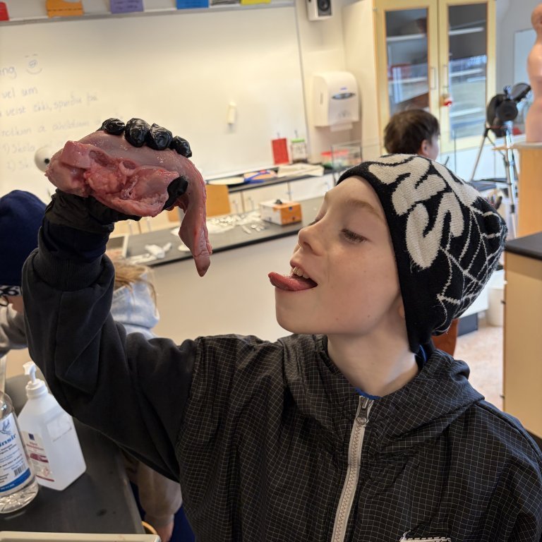 image-20260408-125437-1bd2ad38