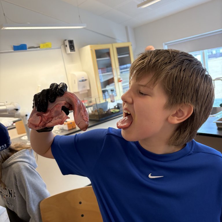 image-20260408-125444-2afdd37d