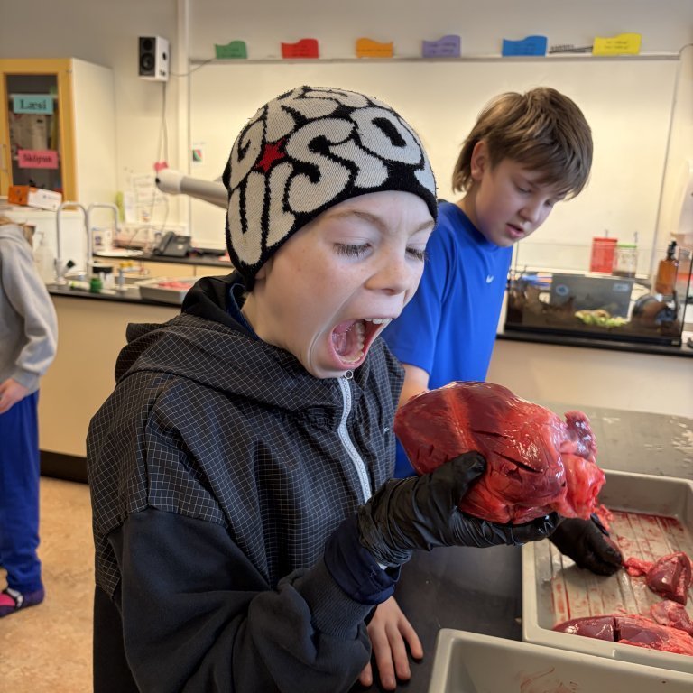 image-20260408-125455-e83f0bcc