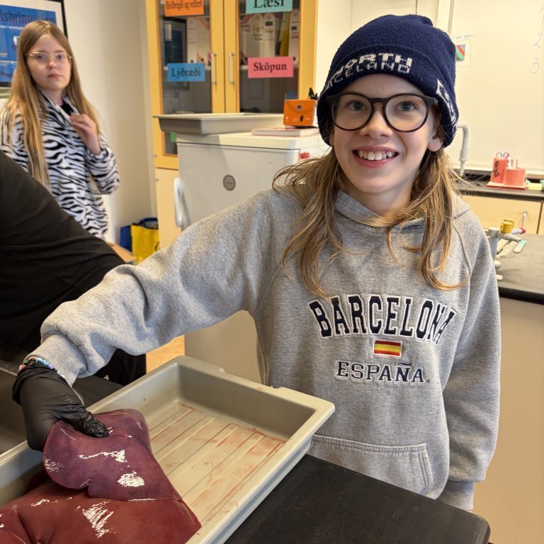 image-20260408-125504-41db31a2