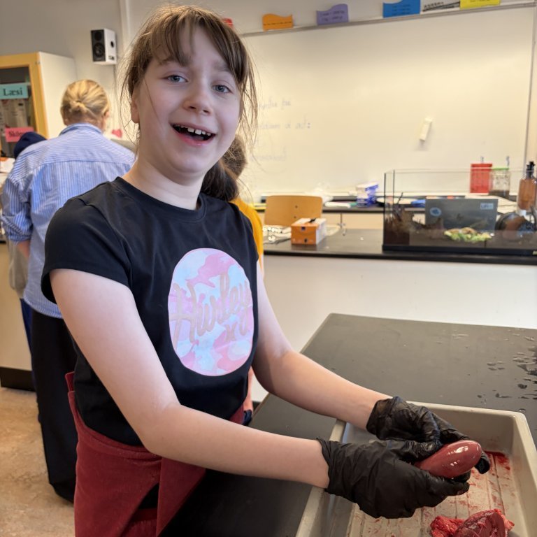 image-20260408-125517-91f79c28